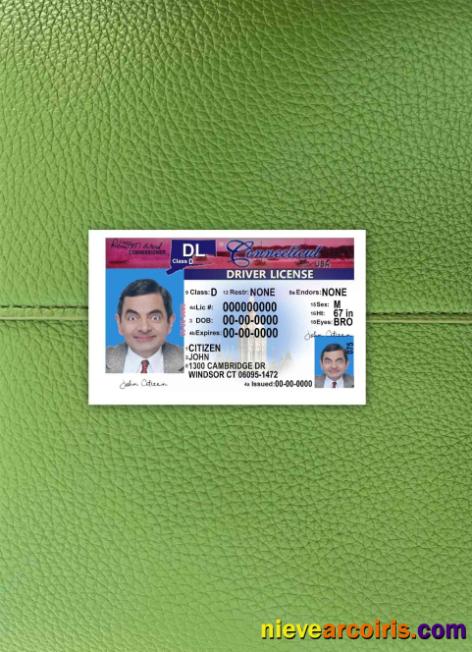 USA Connecticut driving license version 2 photolook